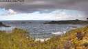 ./images/calvert/foggy-cove/20260530/foggy-cove20260530_095001M.jpg