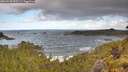./images/calvert/foggy-cove/20260530/foggy-cove20260530_095502M.jpg