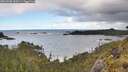 ./images/calvert/foggy-cove/20260530/foggy-cove20260530_100501M.jpg