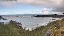 ./images/calvert/foggy-cove/20260530/foggy-cove20260530_102001M.jpg
