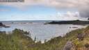 ./images/calvert/foggy-cove/20260530/foggy-cove20260530_102501M.jpg