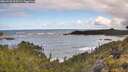 ./images/calvert/foggy-cove/20260530/foggy-cove20260530_103501M.jpg