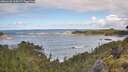 ./images/calvert/foggy-cove/20260530/foggy-cove20260530_104501M.jpg