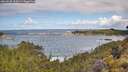 ./images/calvert/foggy-cove/20260530/foggy-cove20260530_105001M.jpg