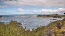 ./images/calvert/foggy-cove/20260530/foggy-cove20260530_105501M.jpg