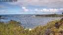 ./images/calvert/foggy-cove/20260530/foggy-cove20260530_110001M.jpg