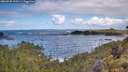 ./images/calvert/foggy-cove/20260530/foggy-cove20260530_110501M.jpg