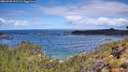./images/calvert/foggy-cove/20260530/foggy-cove20260530_111501M.jpg