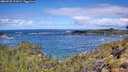 ./images/calvert/foggy-cove/20260530/foggy-cove20260530_112001M.jpg