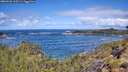 ./images/calvert/foggy-cove/20260530/foggy-cove20260530_112501M.jpg