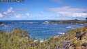 ./images/calvert/foggy-cove/20260530/foggy-cove20260530_113001M.jpg
