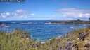 ./images/calvert/foggy-cove/20260530/foggy-cove20260530_113501M.jpg