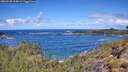 ./images/calvert/foggy-cove/20260530/foggy-cove20260530_114001M.jpg