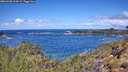 ./images/calvert/foggy-cove/20260530/foggy-cove20260530_114501M.jpg