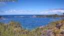 ./images/calvert/foggy-cove/20260530/foggy-cove20260530_115002M.jpg