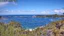 ./images/calvert/foggy-cove/20260530/foggy-cove20260530_115501M.jpg
