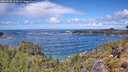 ./images/calvert/foggy-cove/20260530/foggy-cove20260530_122001M.jpg