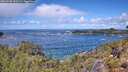 ./images/calvert/foggy-cove/20260530/foggy-cove20260530_122501M.jpg