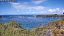 ./images/calvert/foggy-cove/20260530/foggy-cove20260530_124501M.jpg