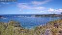 ./images/calvert/foggy-cove/20260530/foggy-cove20260530_125001M.jpg