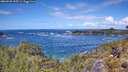 ./images/calvert/foggy-cove/20260530/foggy-cove20260530_125501M.jpg