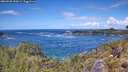 ./images/calvert/foggy-cove/20260530/foggy-cove20260530_130002M.jpg