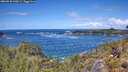 ./images/calvert/foggy-cove/20260530/foggy-cove20260530_130501M.jpg