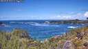 ./images/calvert/foggy-cove/20260530/foggy-cove20260530_131501M.jpg