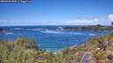 ./images/calvert/foggy-cove/20260530/foggy-cove20260530_132001M.jpg