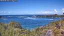 ./images/calvert/foggy-cove/20260530/foggy-cove20260530_132501M.jpg