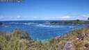 ./images/calvert/foggy-cove/20260530/foggy-cove20260530_133501M.jpg