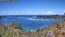 ./images/calvert/foggy-cove/20260530/foggy-cove20260530_134501M.jpg