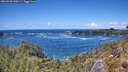 ./images/calvert/foggy-cove/20260530/foggy-cove20260530_140501M.jpg