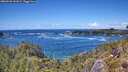./images/calvert/foggy-cove/20260530/foggy-cove20260530_141002M.jpg