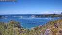 ./images/calvert/foggy-cove/20260530/foggy-cove20260530_141502M.jpg