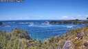 ./images/calvert/foggy-cove/20260530/foggy-cove20260530_142002M.jpg