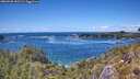 ./images/calvert/foggy-cove/20260530/foggy-cove20260530_142501M.jpg