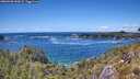 ./images/calvert/foggy-cove/20260530/foggy-cove20260530_143001M.jpg