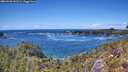 ./images/calvert/foggy-cove/20260530/foggy-cove20260530_143501M.jpg