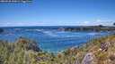 ./images/calvert/foggy-cove/20260530/foggy-cove20260530_144001M.jpg