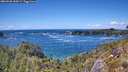 ./images/calvert/foggy-cove/20260530/foggy-cove20260530_144501M.jpg