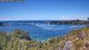 ./images/calvert/foggy-cove/20260530/foggy-cove20260530_145002M.jpg