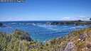 ./images/calvert/foggy-cove/20260530/foggy-cove20260530_145501M.jpg