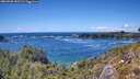 ./images/calvert/foggy-cove/20260530/foggy-cove20260530_150501M.jpg
