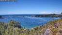 ./images/calvert/foggy-cove/20260530/foggy-cove20260530_151001M.jpg