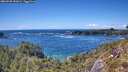 ./images/calvert/foggy-cove/20260530/foggy-cove20260530_152002M.jpg