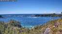 ./images/calvert/foggy-cove/20260530/foggy-cove20260530_153001M.jpg