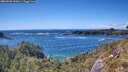 ./images/calvert/foggy-cove/20260530/foggy-cove20260530_160001M.jpg