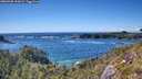 ./images/calvert/foggy-cove/20260530/foggy-cove20260530_162001M.jpg