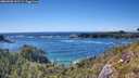 ./images/calvert/foggy-cove/20260530/foggy-cove20260530_162501M.jpg